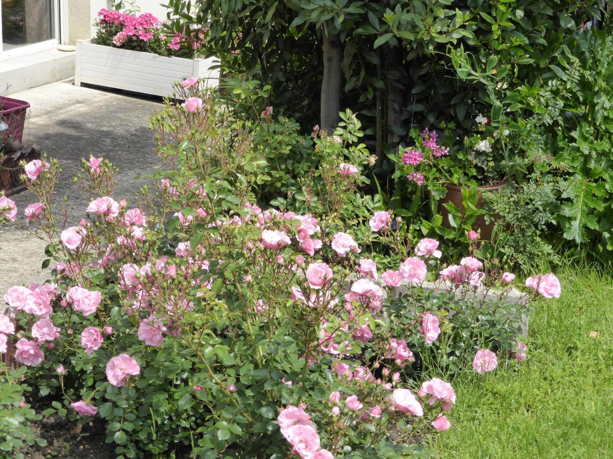 Une Chambre A Neuilly Guest House Экстерьер фото
